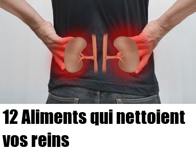 Aliments Qui Nettoient Vos Reins Sant Nutrition