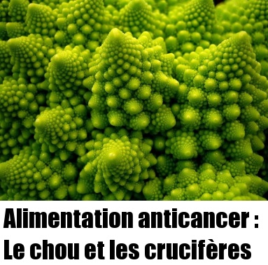 Alimentation cancer poumon