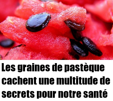 19471 les graines de pasteque cachent une multitude de secrets pour notre sante