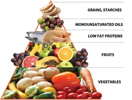 nutrition et sante barcelona 