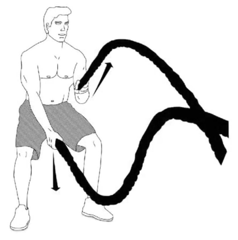 battle-ropes - Santé Nutrition