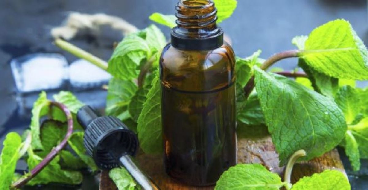 Fibromyalgia: 5 Essential Oils to Relieve Pain, Fight Fatigue, and Fight Insomnia